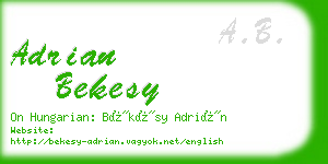 adrian bekesy business card